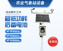 風途氣象站，廠家發(fā)貨，yyds！